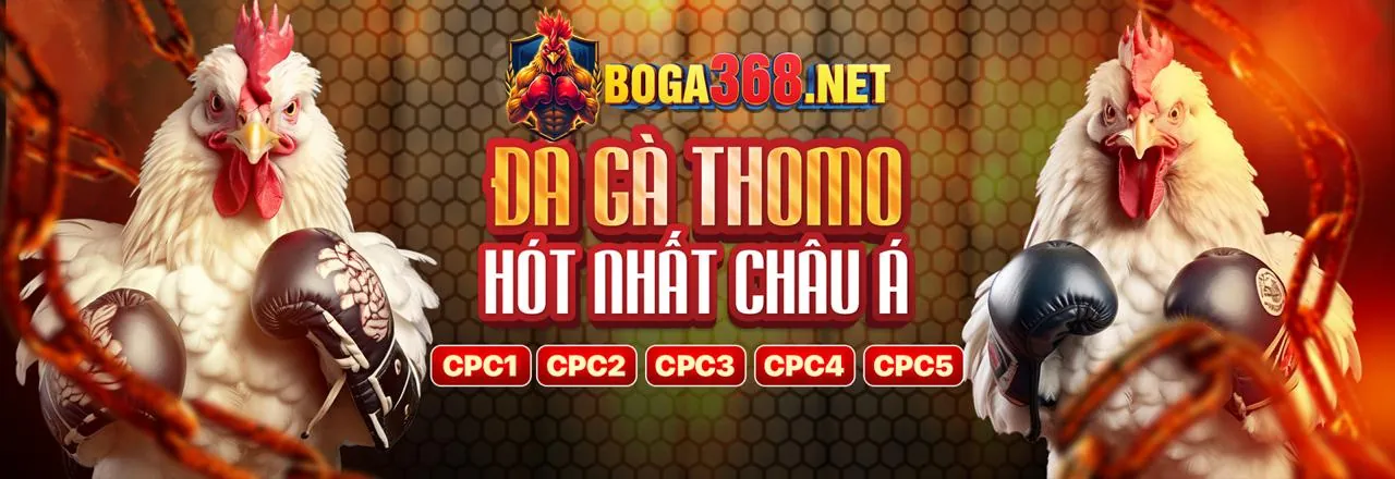 Đá gà trực tuyến lulu88 chính thức 2026